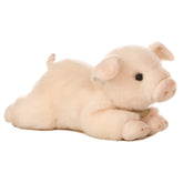 Aurora® - Miyoni® -  Pig